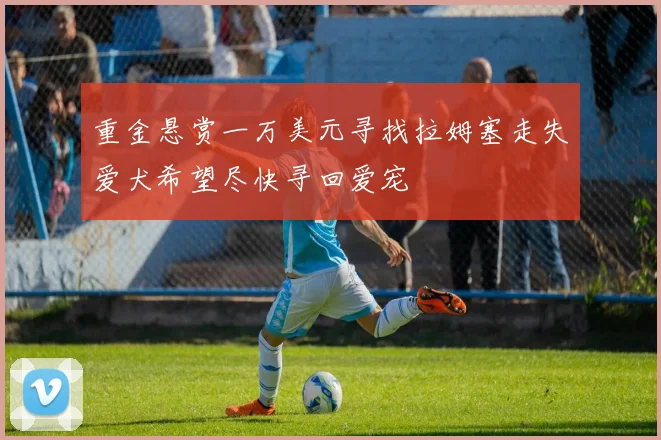 重金悬赏一万美元寻找拉姆塞走失爱犬希望尽快寻回爱宠