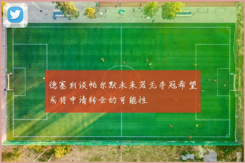 德塞利谈帕尔默未来若无夺冠希望或将申请转会的可能性